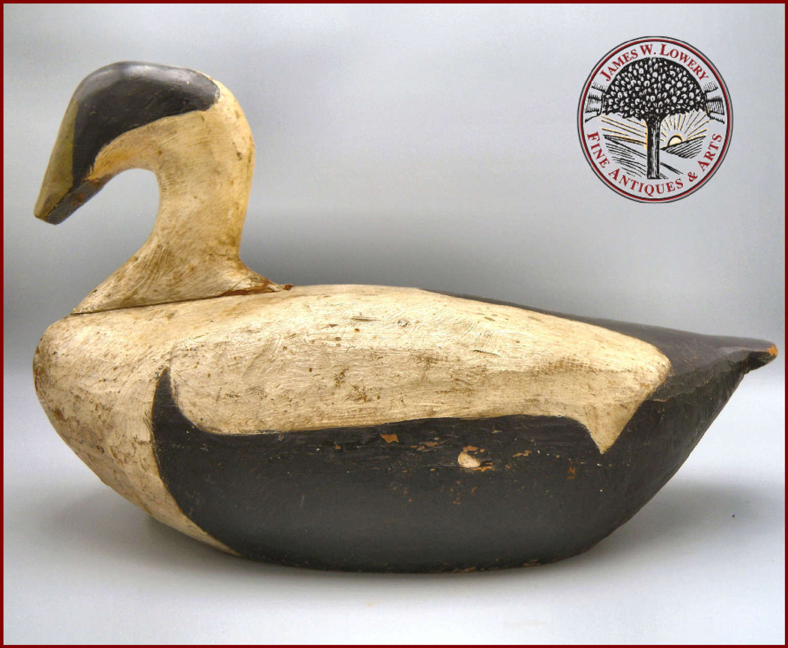 MAINE EIDER DECOY American Antiques