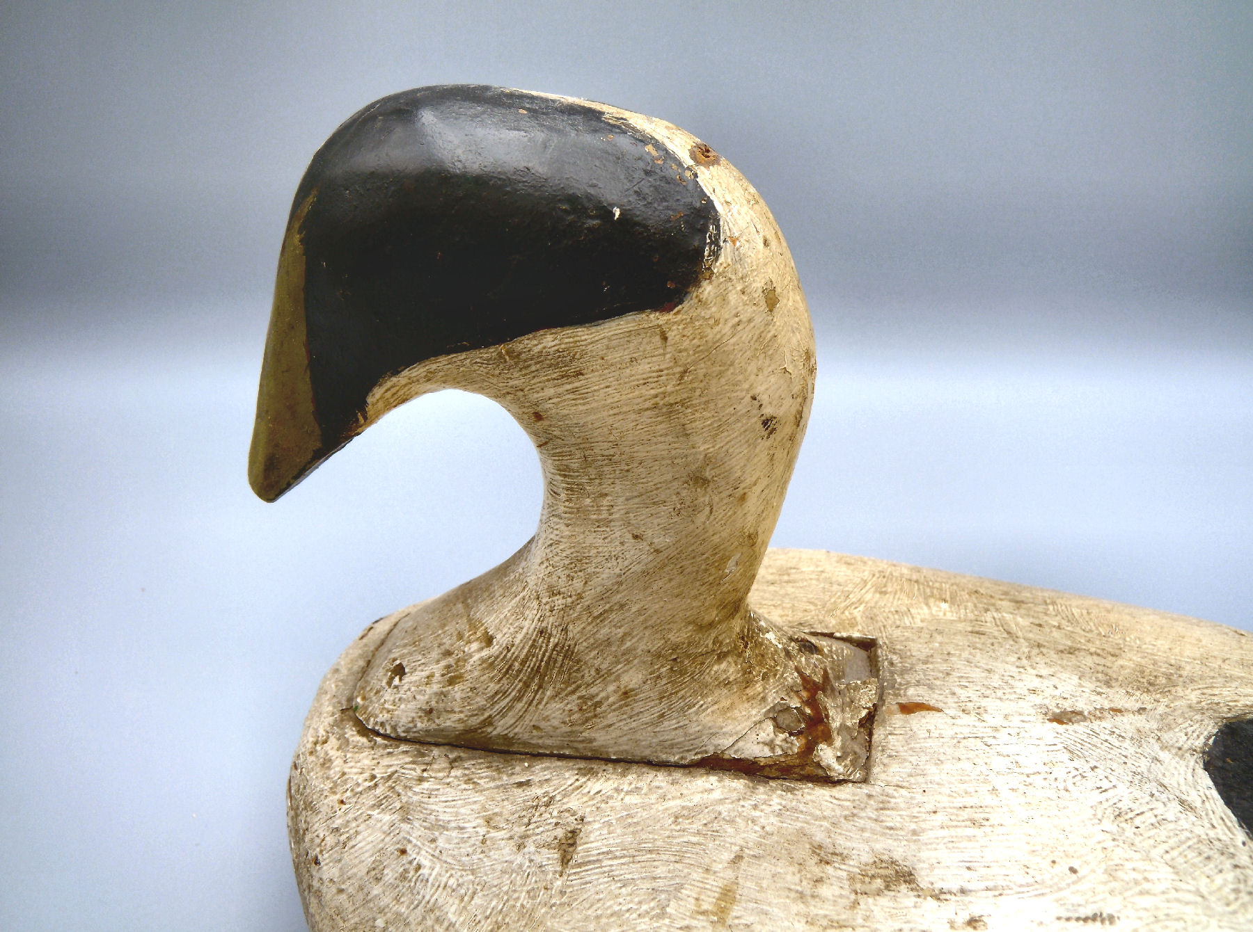 MAINE EIDER DECOY American Antiques